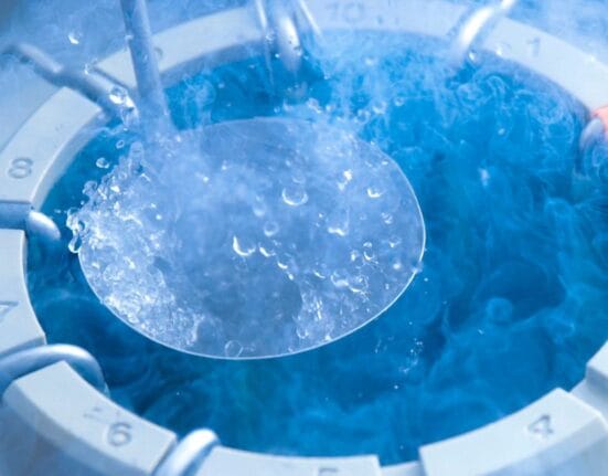 how much to freeze eggs singapore