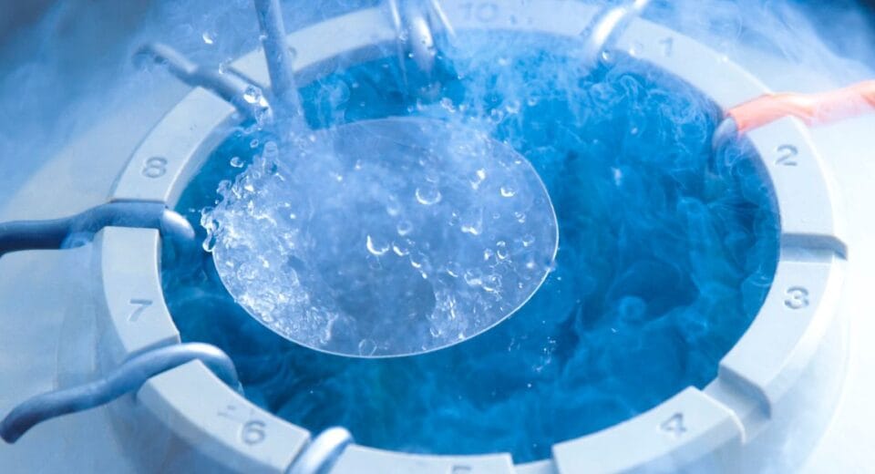 how much to freeze eggs singapore