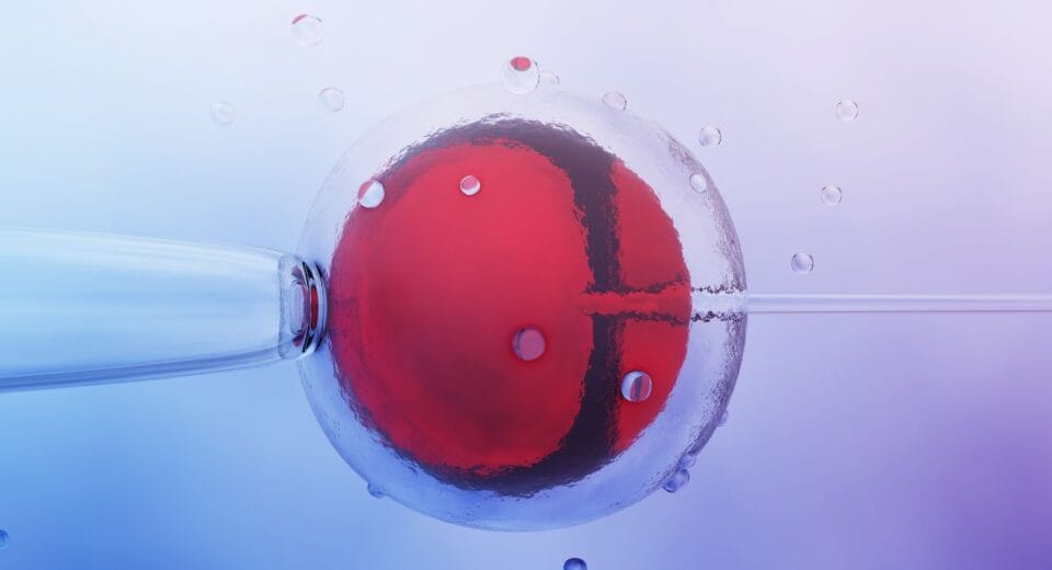 ivf treatment