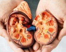 Kidney-Disease-Guide-Keyart-1_TPHCM.jpg
